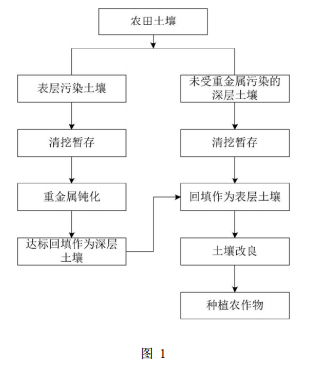 用于修復(fù)農(nóng)田重金屬污染土壤的復(fù)合方法的工藝流程圖